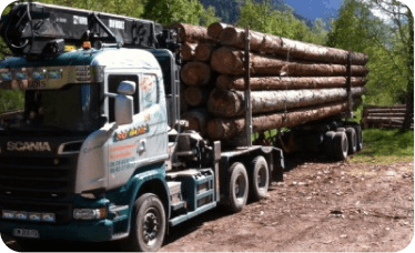 Vente de Grumes et billons