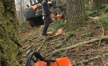 Travaux sylvicoles